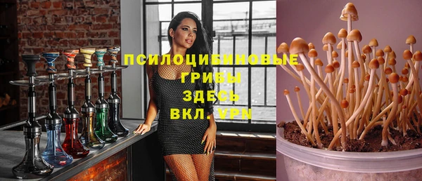кокс Арсеньев