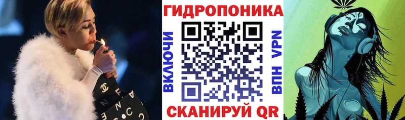 Шишки марихуана семена  Рошаль 